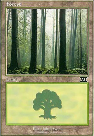 Forêt