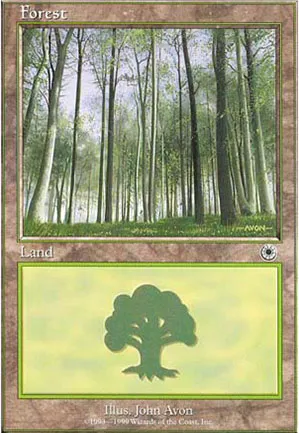 Forêt
