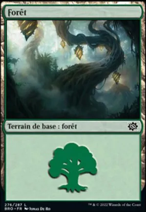 Forêt