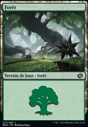 Forêt