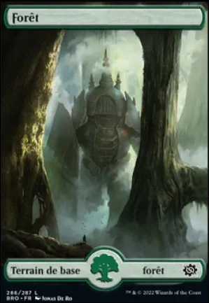 Forêt