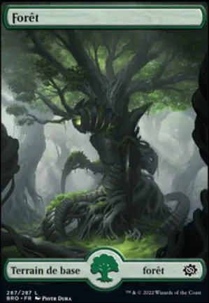 Forêt