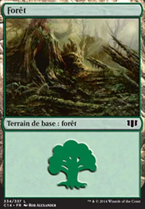 Forêt