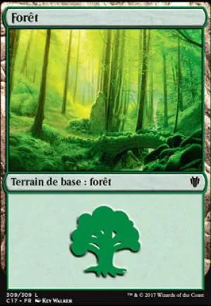Forêt