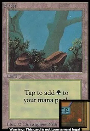 Forêt