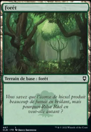 Forêt