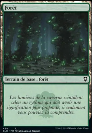 Forêt