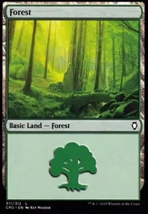 Forêt