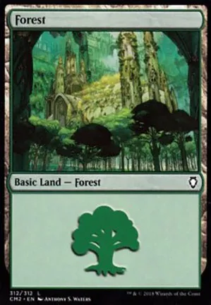 Forêt