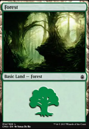 Forêt