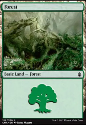 Forêt