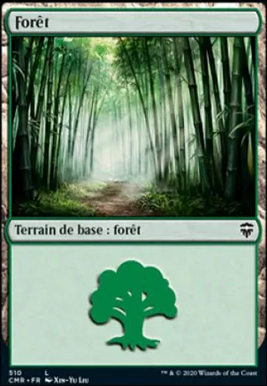 Forêt