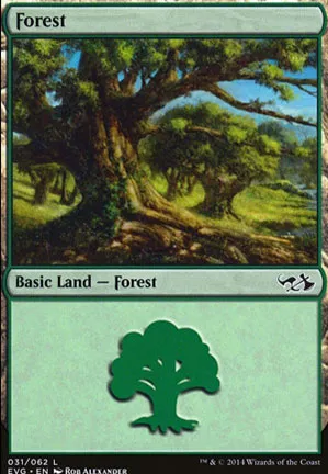 Forêt