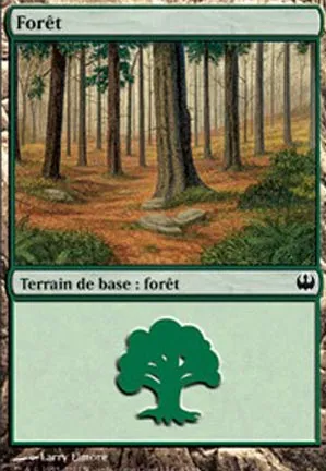 Forêt