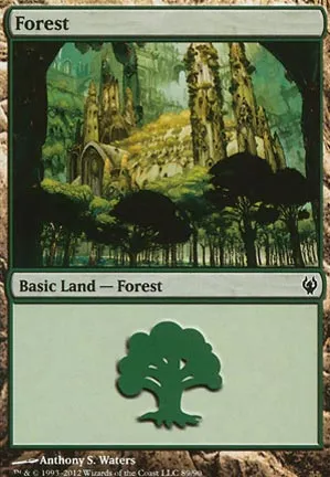 Forêt
