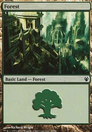 Forêt
