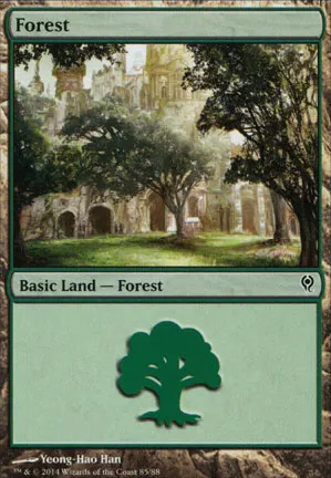 Forêt