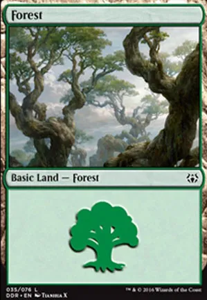 Forêt