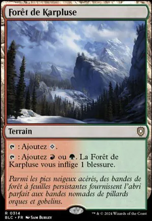 Forêt de Karpluse