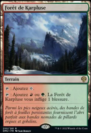 Forêt de Karpluse
