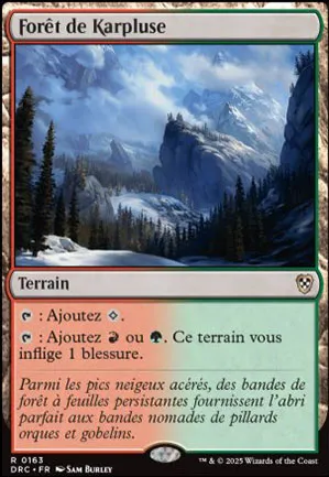 Forêt de Karpluse