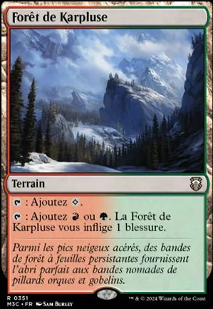 Forêt de Karpluse