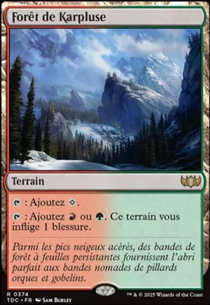 Forêt de Karpluse