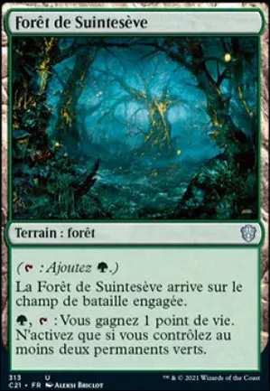 Forêt de Suintesève