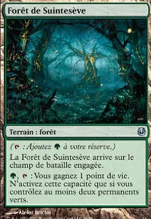 Forêt de Suintesève