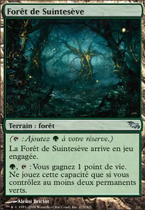 Forêt de Suintesève