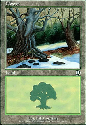 Forêt