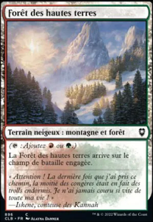 Forêt des hautes terres