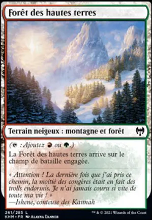 Forêt des hautes terres