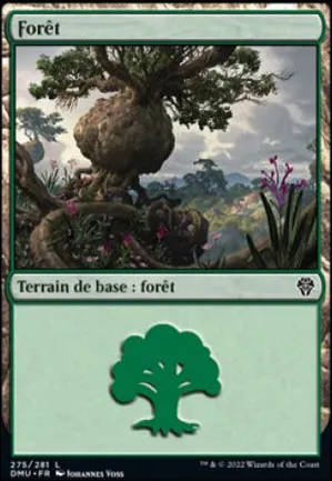 Forêt