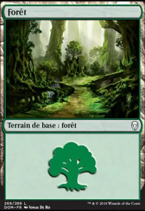 Forêt