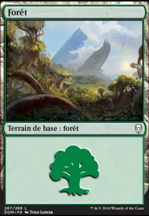 Forêt