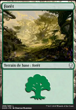 Forêt