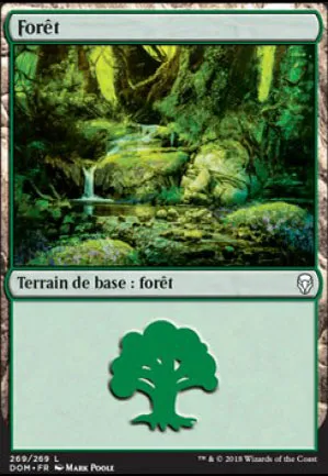 Forêt