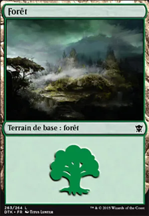 Forêt