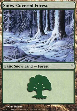 Forêt enneigée