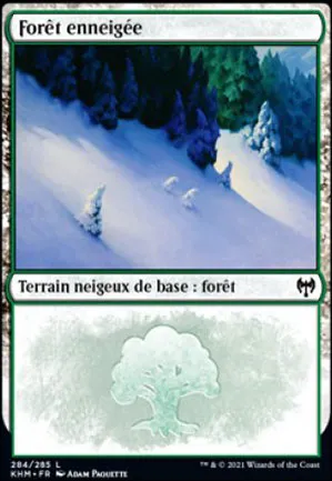 Forêt enneigée