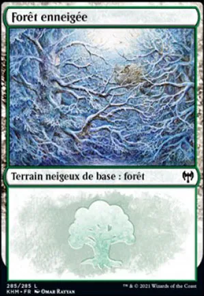 Forêt enneigée