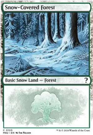 Forêt enneigée