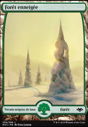 Forêt enneigée
