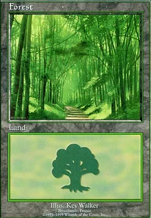Forêt