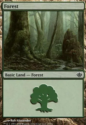 Forêt