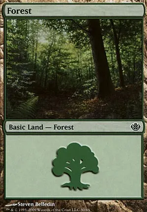 Forêt