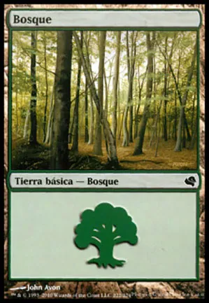 Forêt