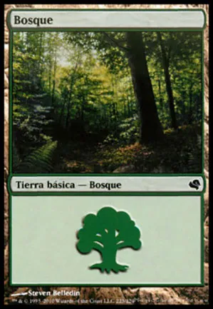 Forêt