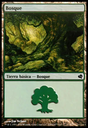 Forêt